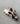 L&S Logo Petit Hair Claw Clips (4col): Tortoise