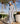 SIZE 14 Positana Pants | Once Was