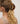 Oval Tort Hair Claw Clip, Dark Tort