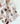 Ozzie Tea Towel | Whitney Spicer