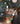 Woodlands Bracelet | Luna Foundling