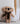 Morgan koala | soft toy
