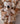Humphrey Koala | soft toy